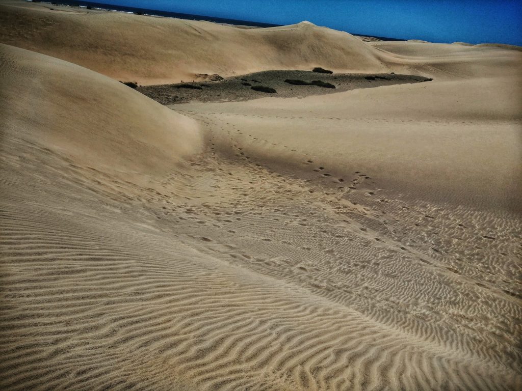 Cabo - Dunas