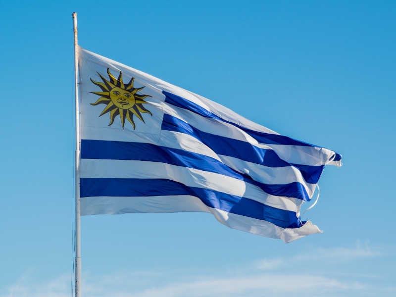 comites - Bandera De Uruguay