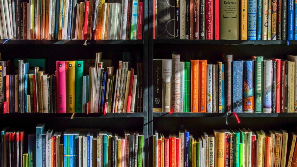 Talleres - Estanteria De Libros