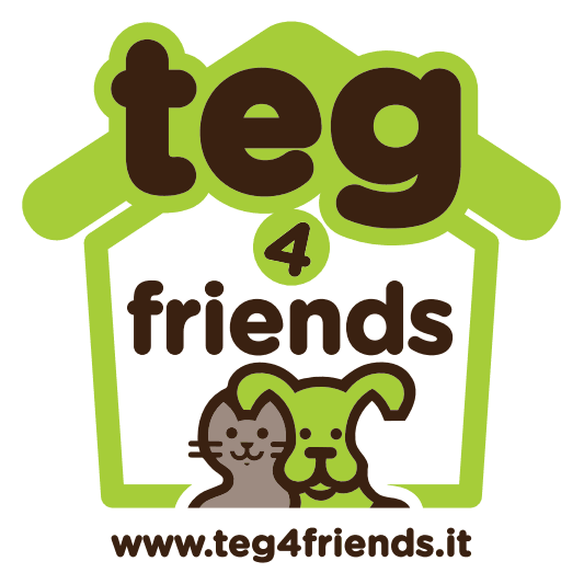logo di Teg4friends