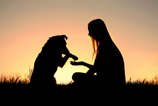 Cane e donna al tramonto