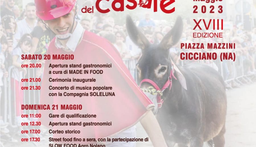 Palio del Casale