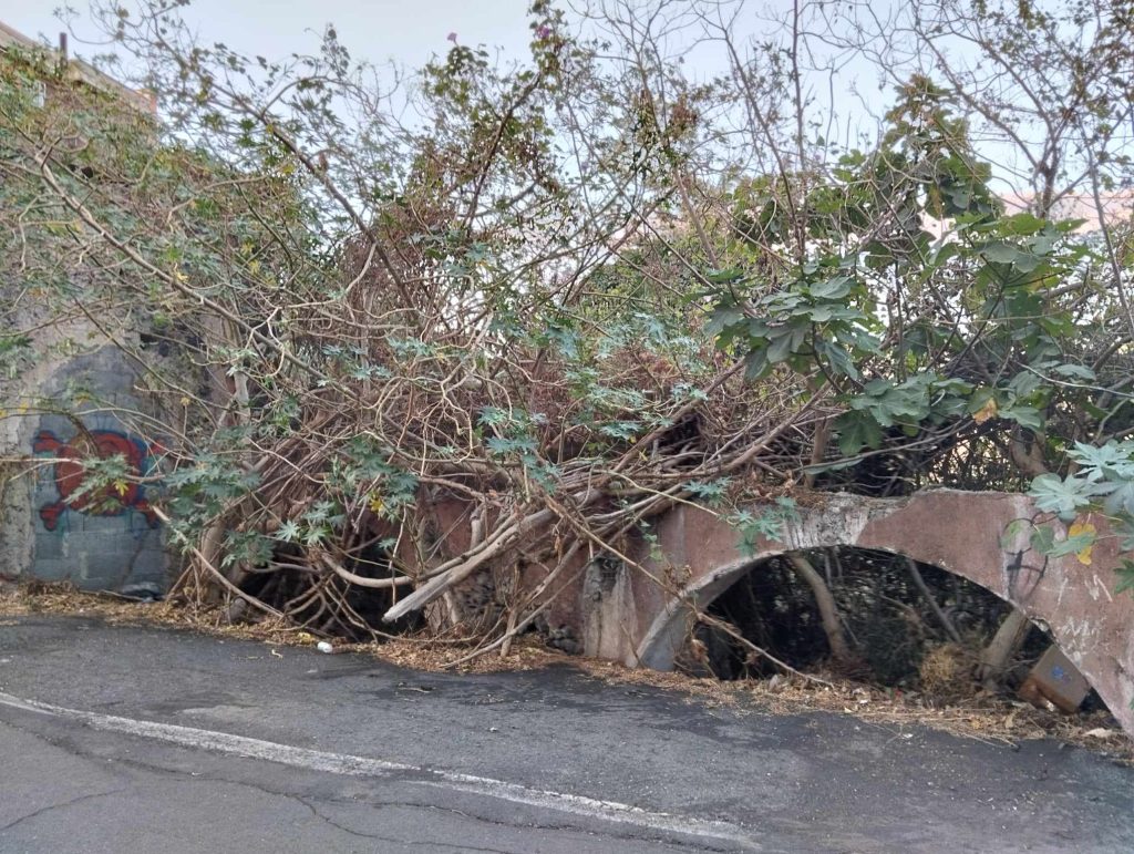 La struttura di ciò che un tempo era un ponte al Parco della Susanna