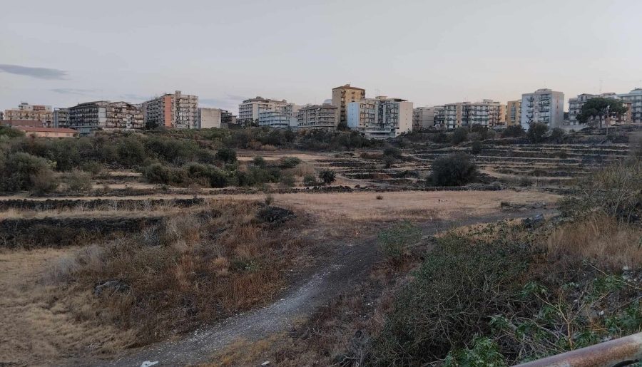 Parco della Susanna, risorsa naturalistica da difendere