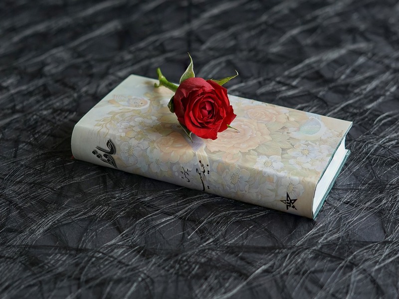 Quaderni Di Poesia