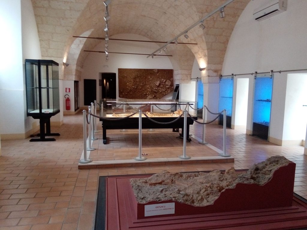 Sala del museo di Ostuni