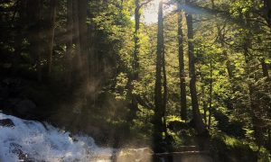 Dawl tax-Xemx 3807749 1280