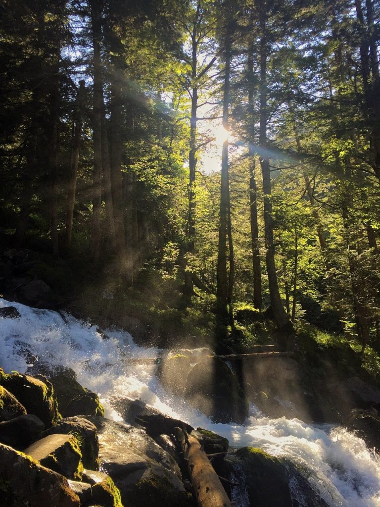 Sunlight 3807749 1280