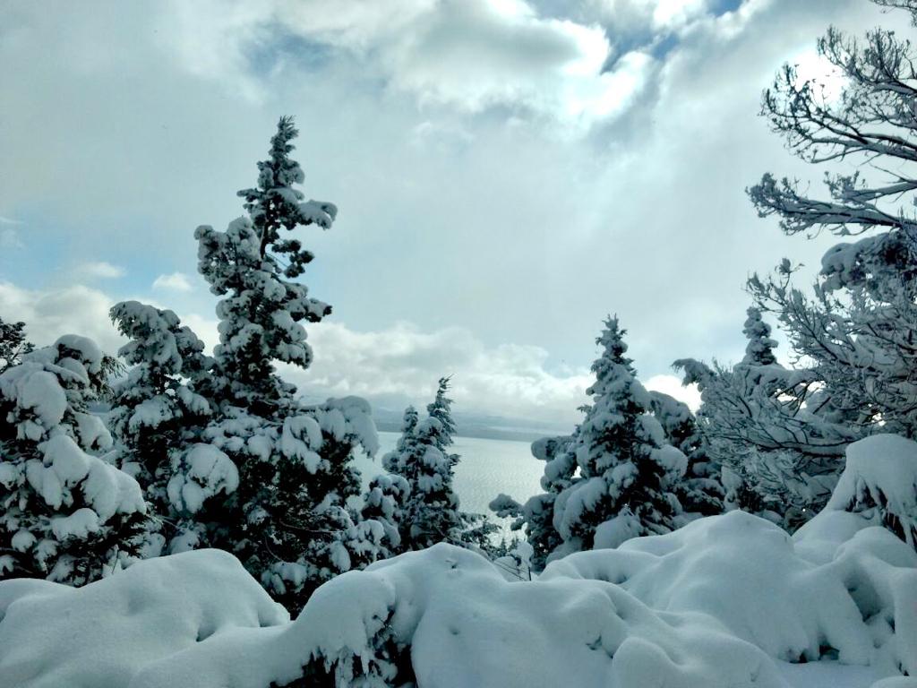 Cerro - Nieve 