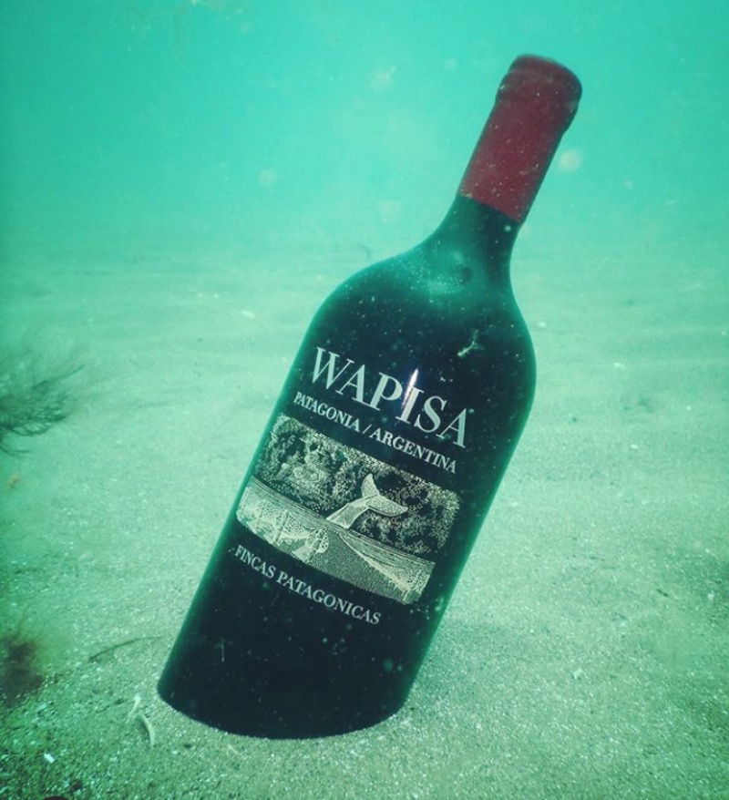 Bodega - Botella de vino