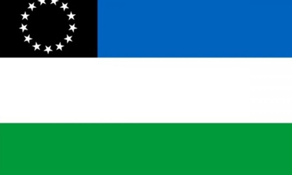 provincia rio negro - bandera