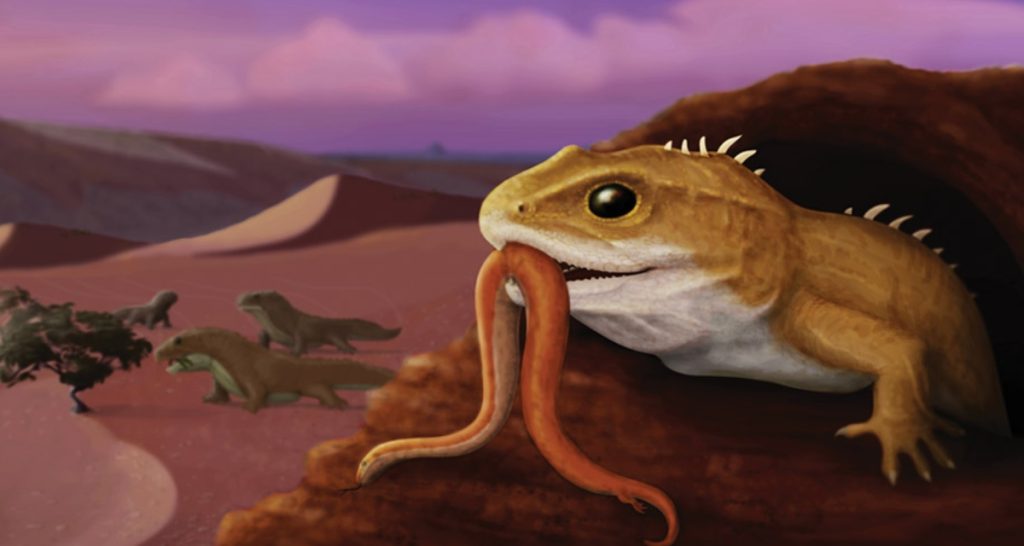 reptil - Portadatika