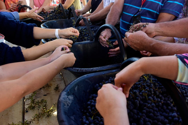 vino patero - Fiesta Del Vino Patero Desgranado