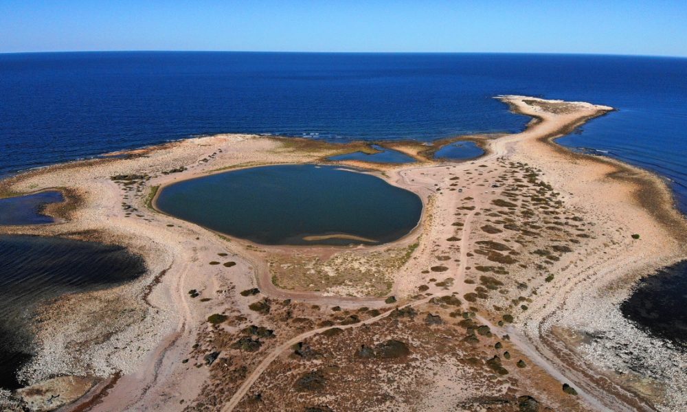 parque - Punta pozos