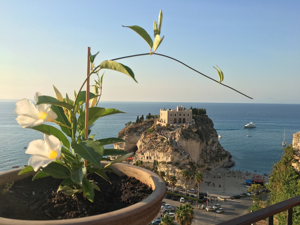 Tropea Comune Fiorito