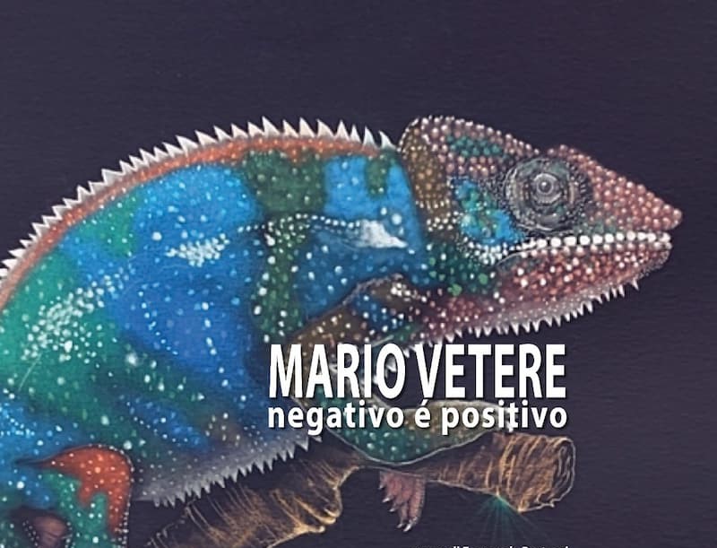 Negativo E Positivo