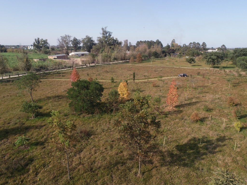 Fundacion Foresar Jardin Botanico Concepcion