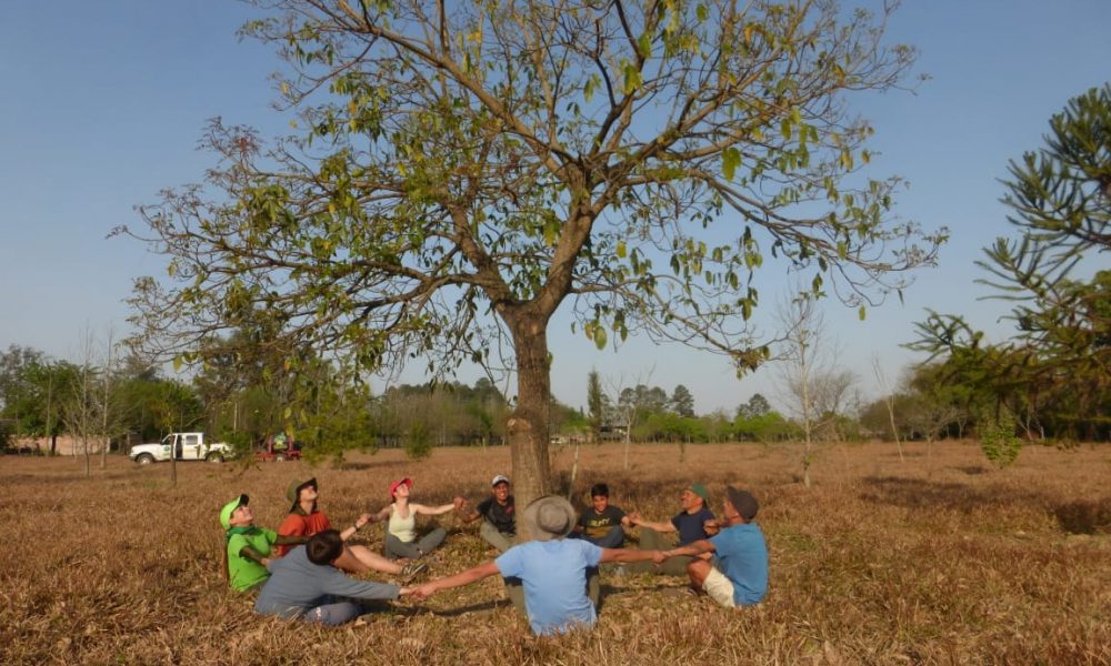 Fundación Foresar - Amor por La Naturaleza