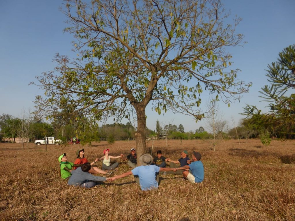 Fundación Foresar - Amor por La Naturaleza
