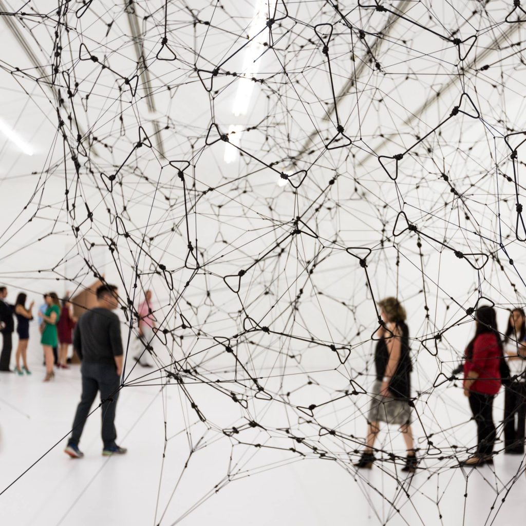 Artista - Saraceno y las telas de arañas