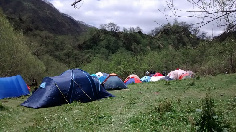 Laguna del Tesoro- Carpas