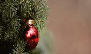 8 de diciembre - Arbol De Navidad