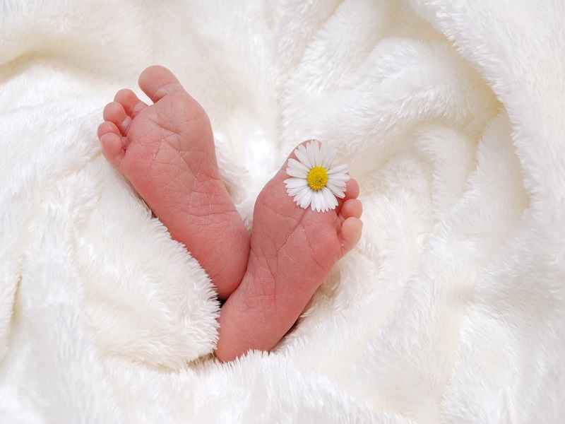 Bonus regionale per un bimbo appena nato - Foto: Pixabay