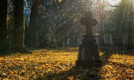 Ognissanti: la croce illuminata dal sole all'interno di un Cimitero- Foto: Pixabay