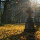 Ognissanti: la croce illuminata dal sole all'interno di un Cimitero- Foto: Pixabay