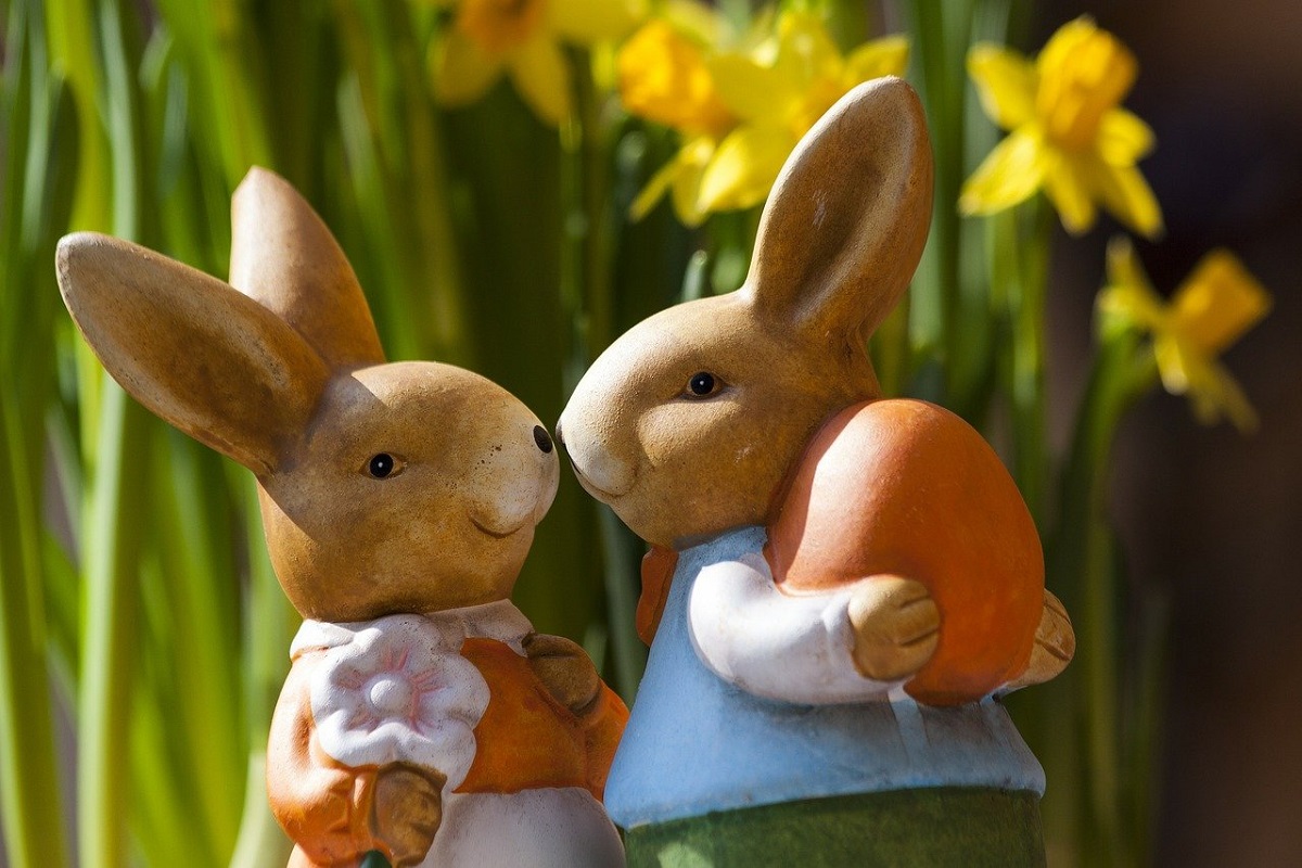 Solidarity Easter: Bunnies photo: Pixabay