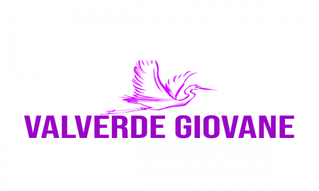 Comitato Valverde giovane- il logo- Foto: Pagina Facebook