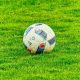 Remo Rizzi: campione di calcio-foto: Pixabay