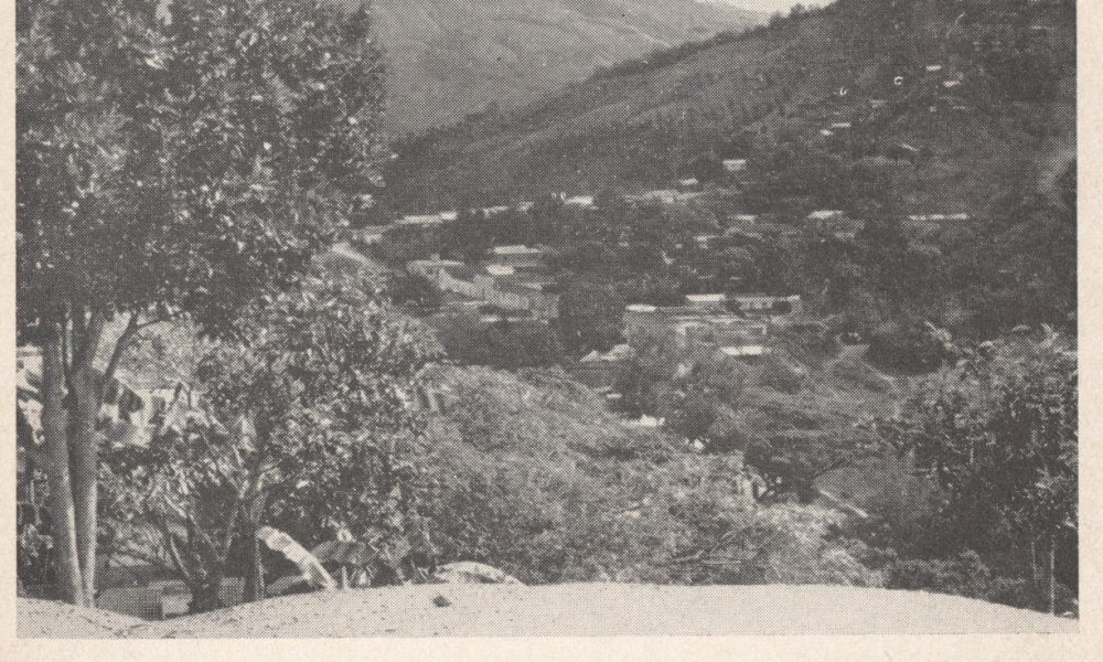 Colonia Bolívar - Fotografía De La Colonia Araira
