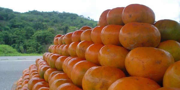 Colonia Bolívar - Santuario