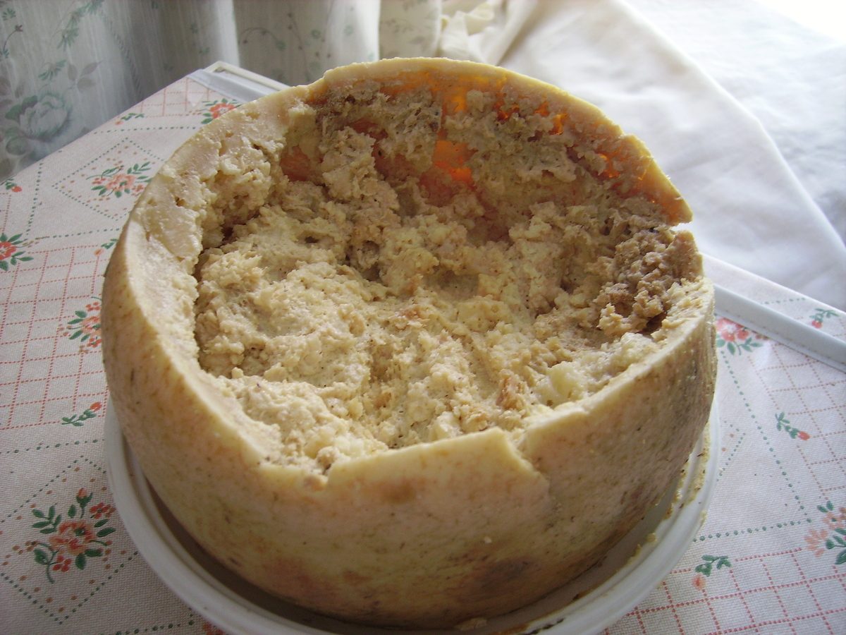Casu marzu este queso podrido y con gusanos? itVenezuela