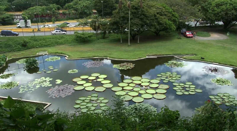 Jardín Botánico - Especies Ecologicas