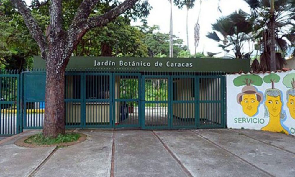 Jardín botánico - Jardin Botanico De Caracas