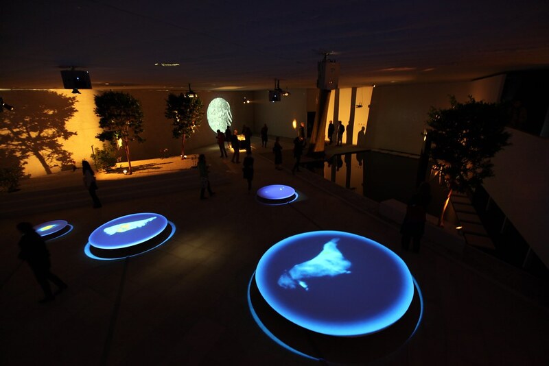 La Biennale di Venezia - Edicion 55